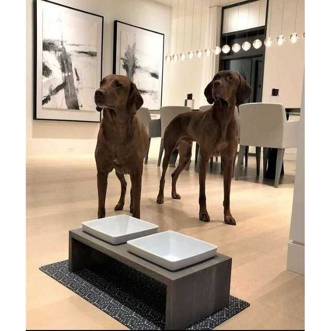 Double Dog Feeder V9328