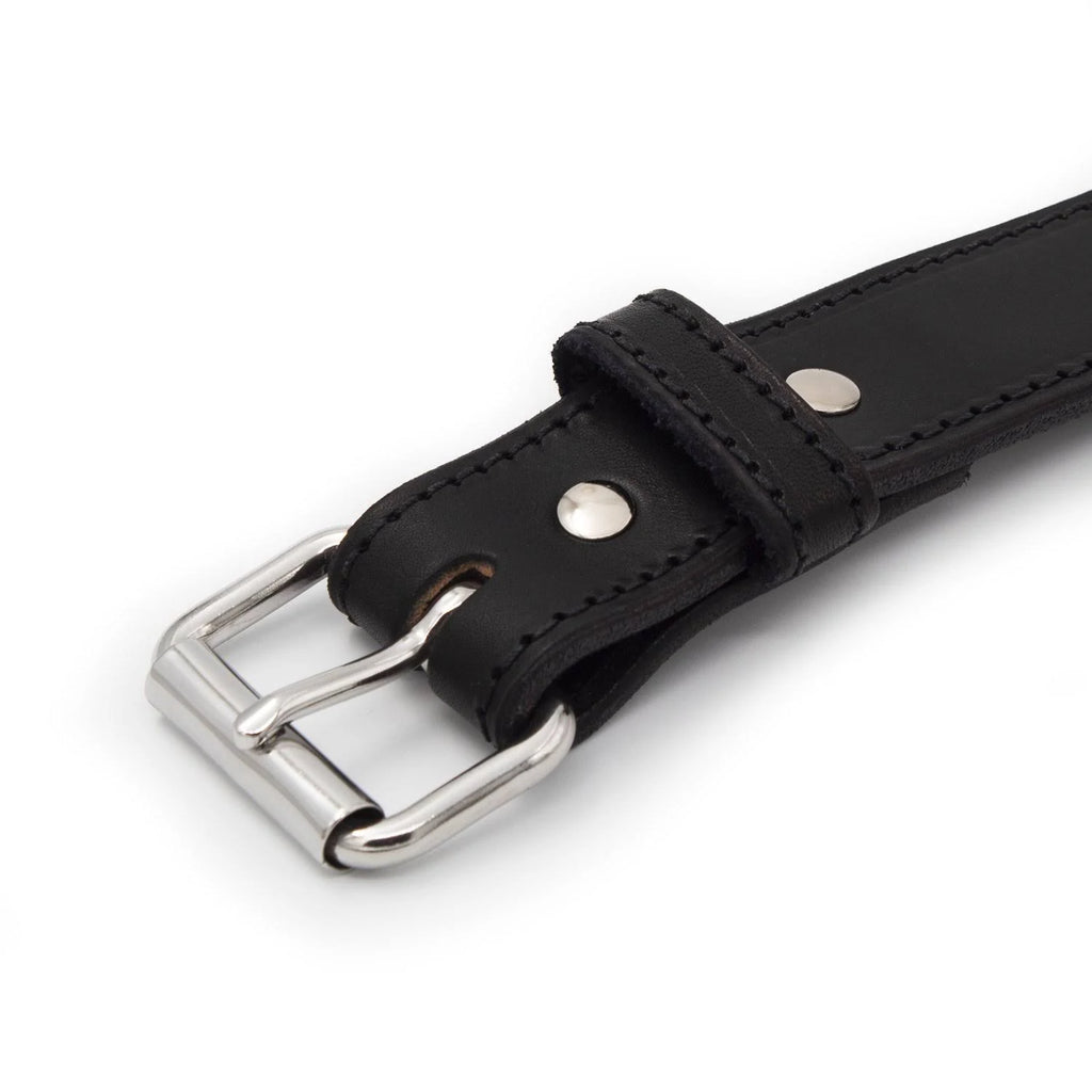 Concealed Carry L668