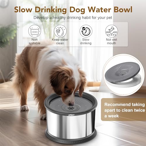 6.5L Stainless Steel No Spill Dog Water Bowl with Anti-Slip Mat W8643