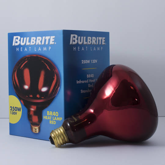 6 Pack Red Heat Lamp Light Bulb F9730