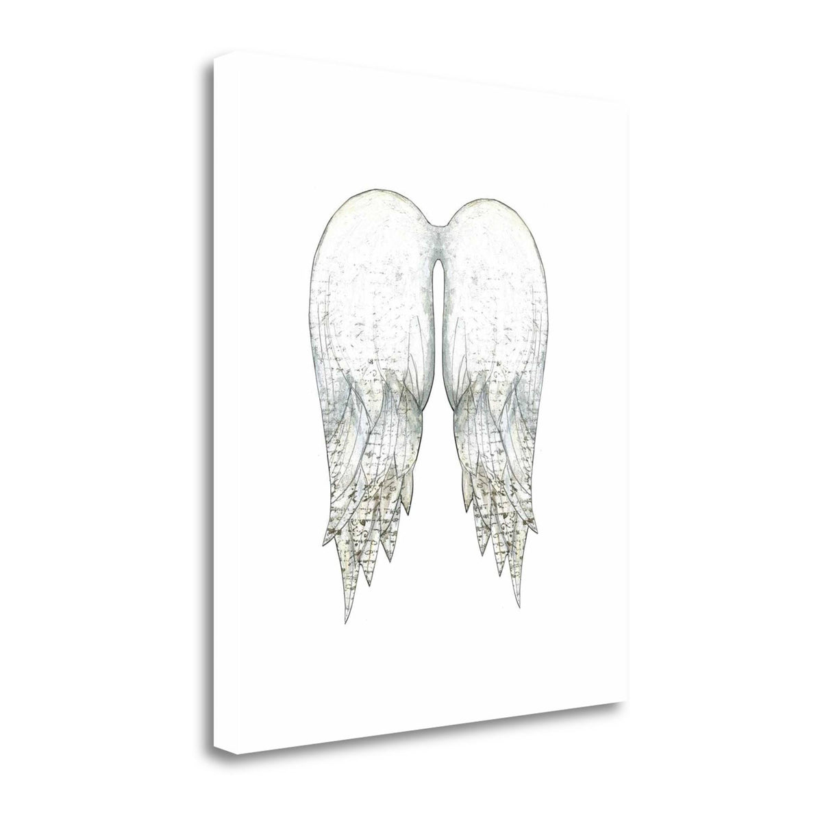 White Angel Wings Giclee Print on Gallery Wrap Canvas 25x22 x 28 L656893