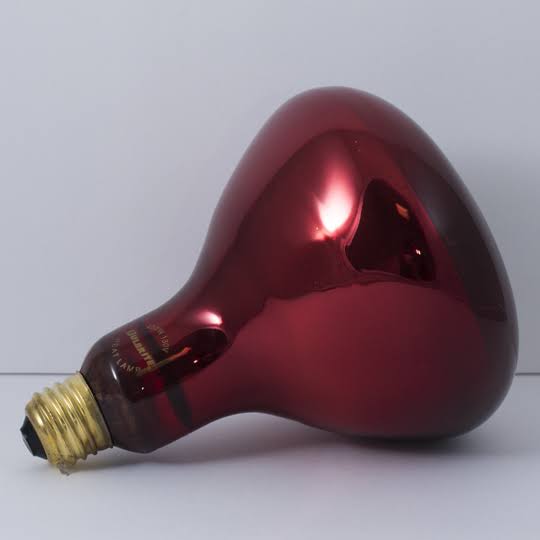 6 Pack Red Heat Lamp Light Bulb F9730