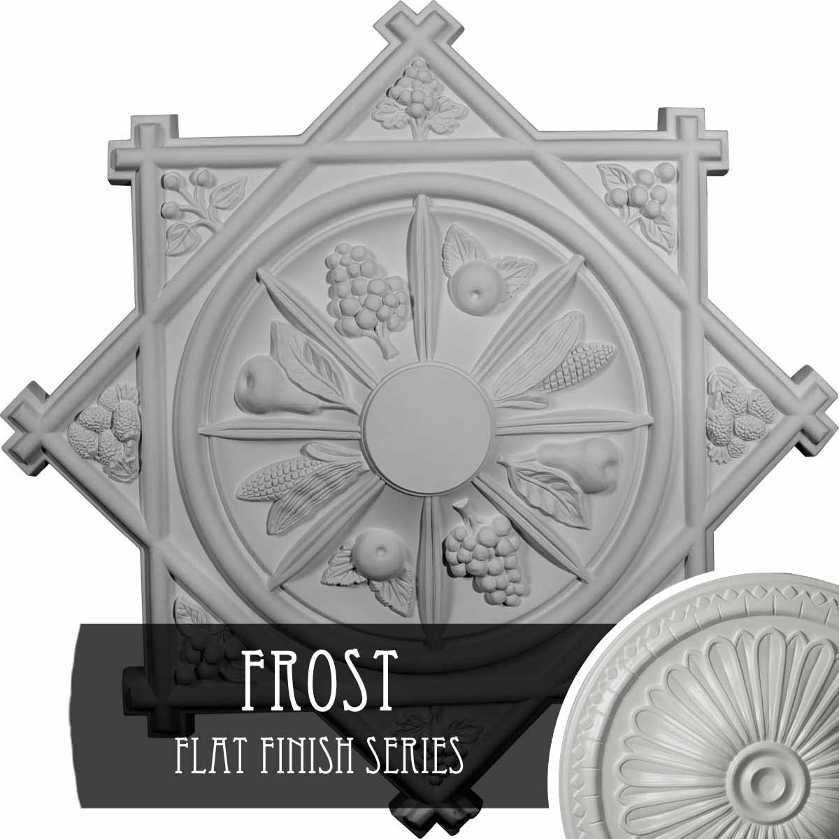 Ceiling Medallion F486