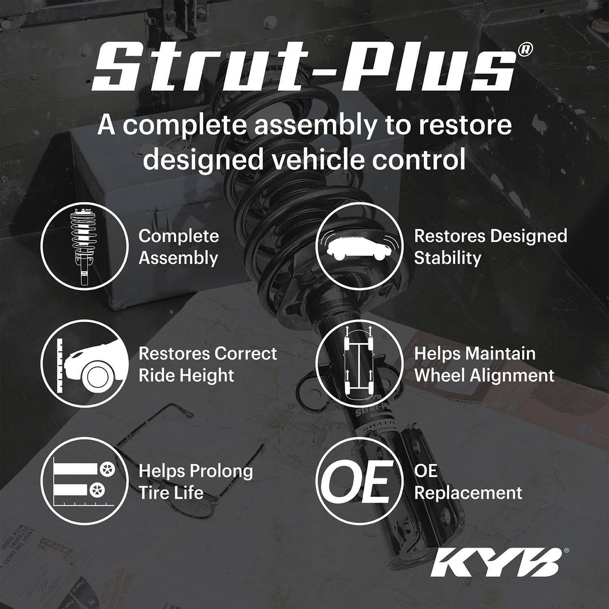 Strut and Coil Spring Assembly W13724