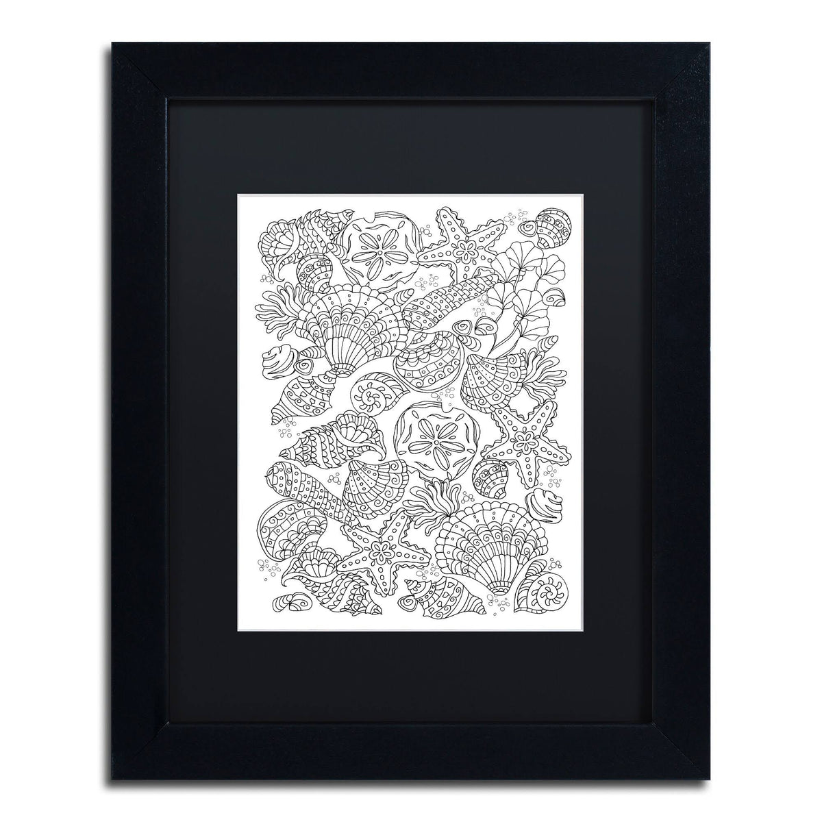 Nautical Shells Black Frame 16x20-Inch X979