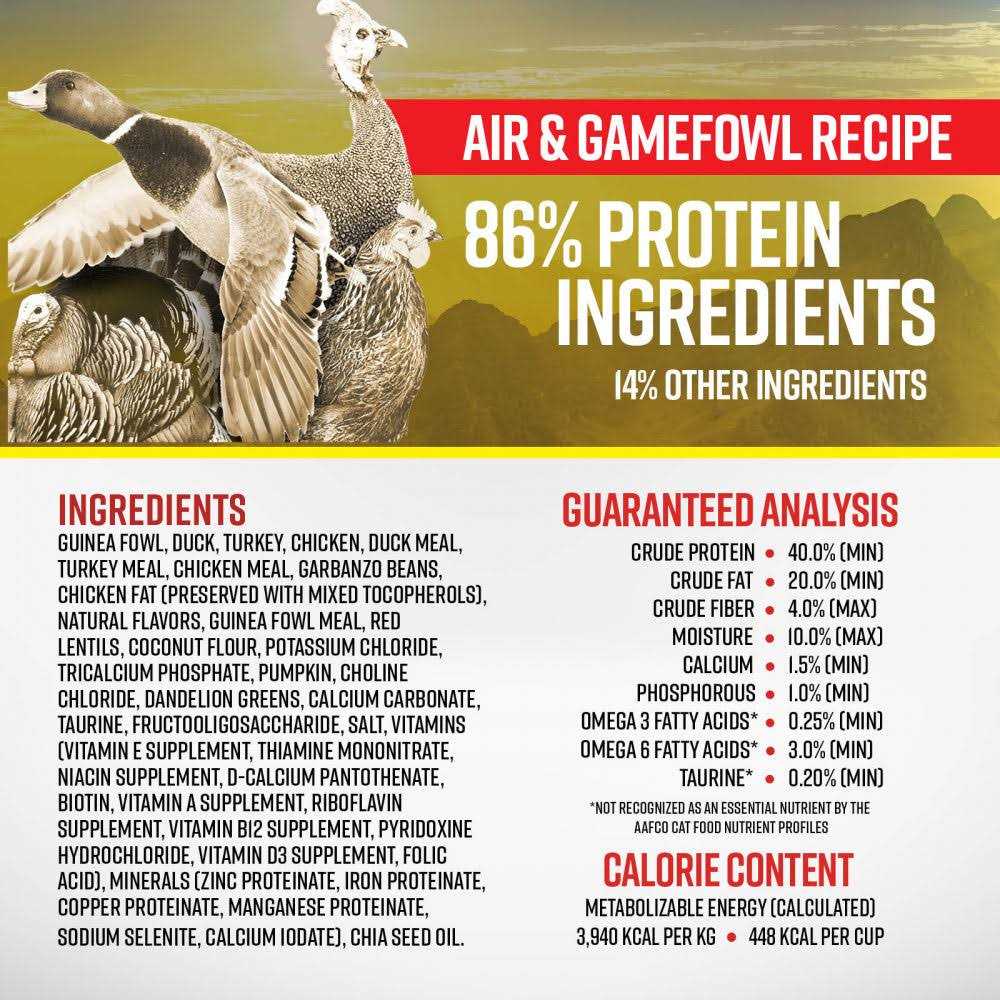 Cat Dry Food K664223