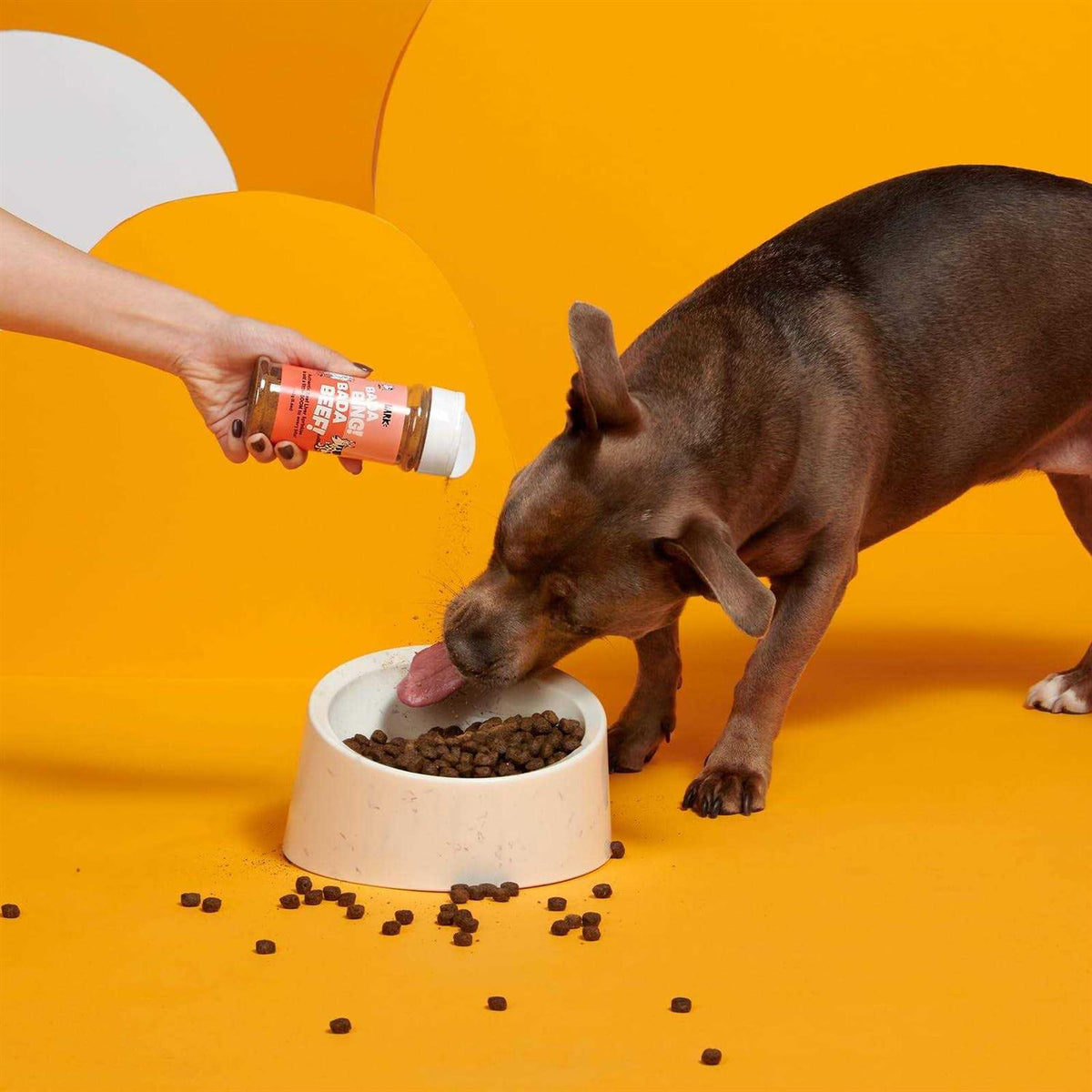 Chicken High Protein Dry Dog Food Topper B6507