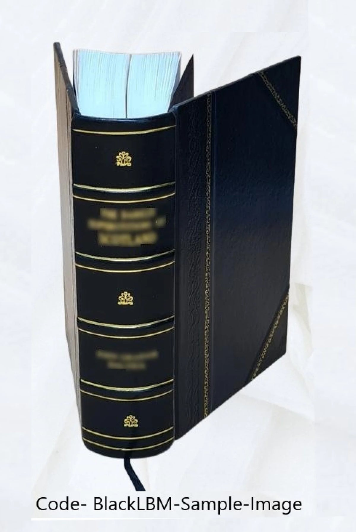 Leather Bound Book F86852