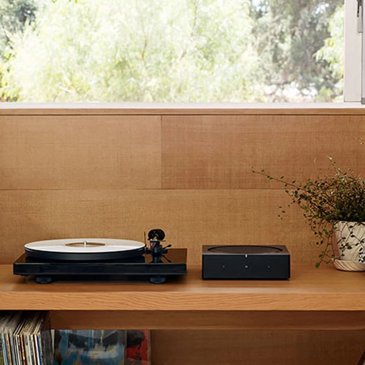 Wireless Hi-Fi Player P343