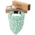 Matching Dog Collar, Bandana and Friendship Bracelet O44251