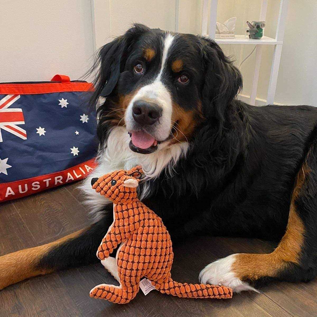 Stuffed Plush Squeaky Dog Toy K734