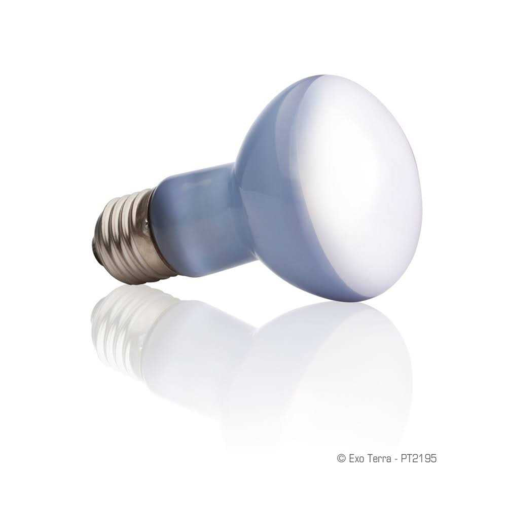 Daylight Basking Spot Lamp O720
