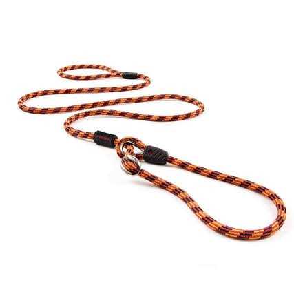 Slip Collar Dog Leash D647