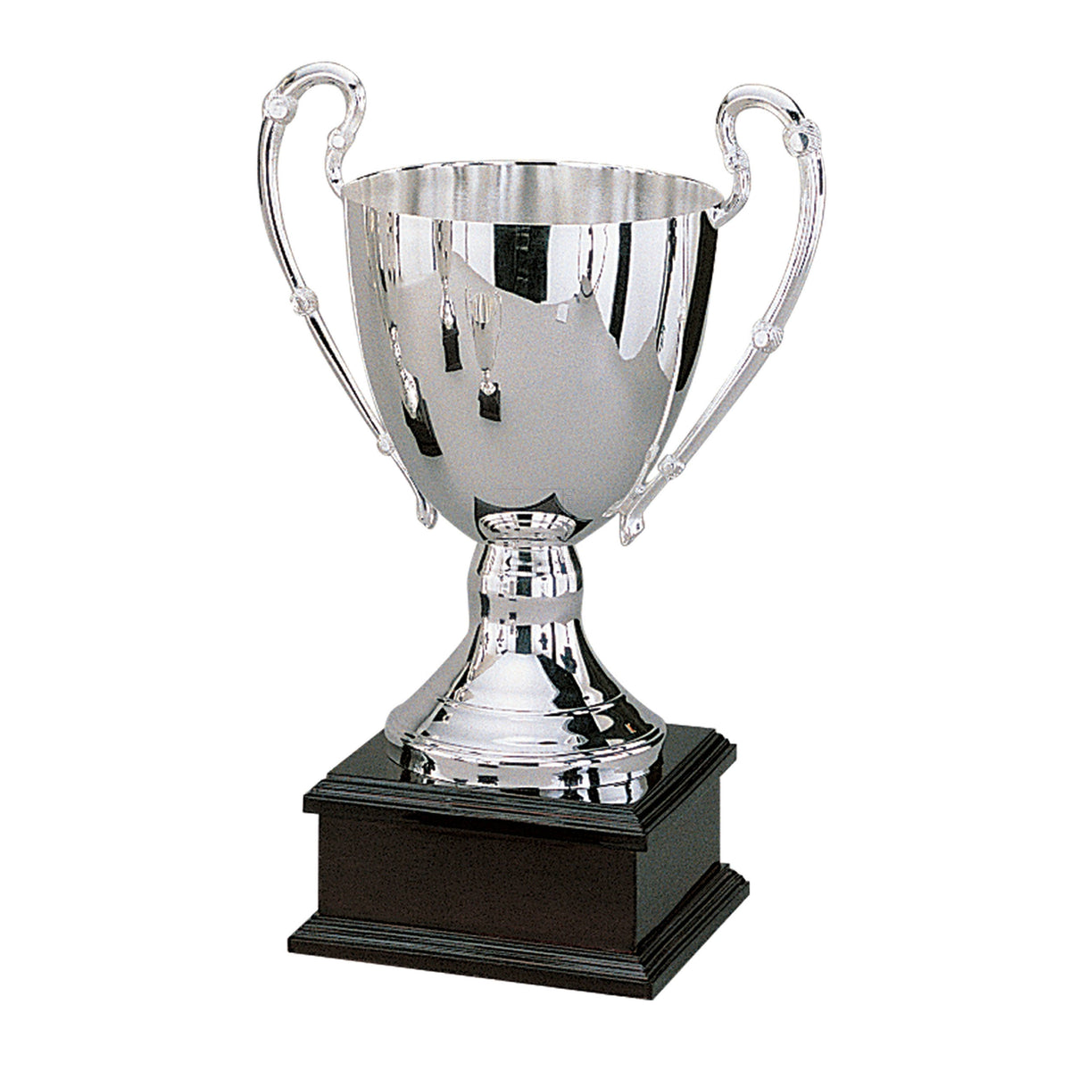 Trophy with Base E339