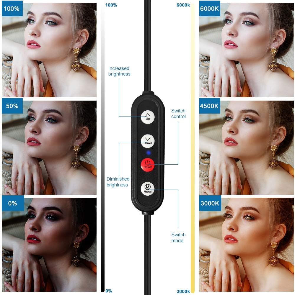 LED Video Conference Lighting with Clamp Scissor Arm Stand, 5600K USB Studio Light Kit D3828