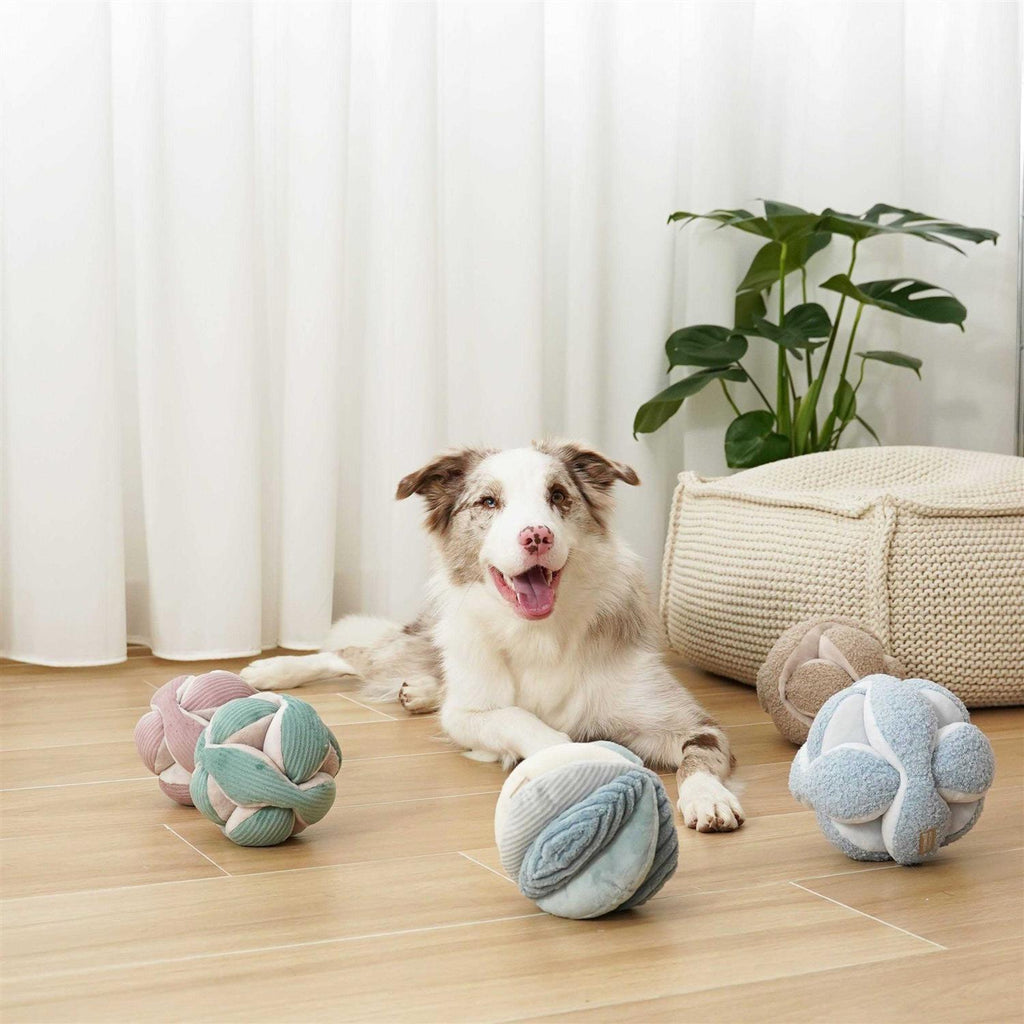 Dog Toy P69383