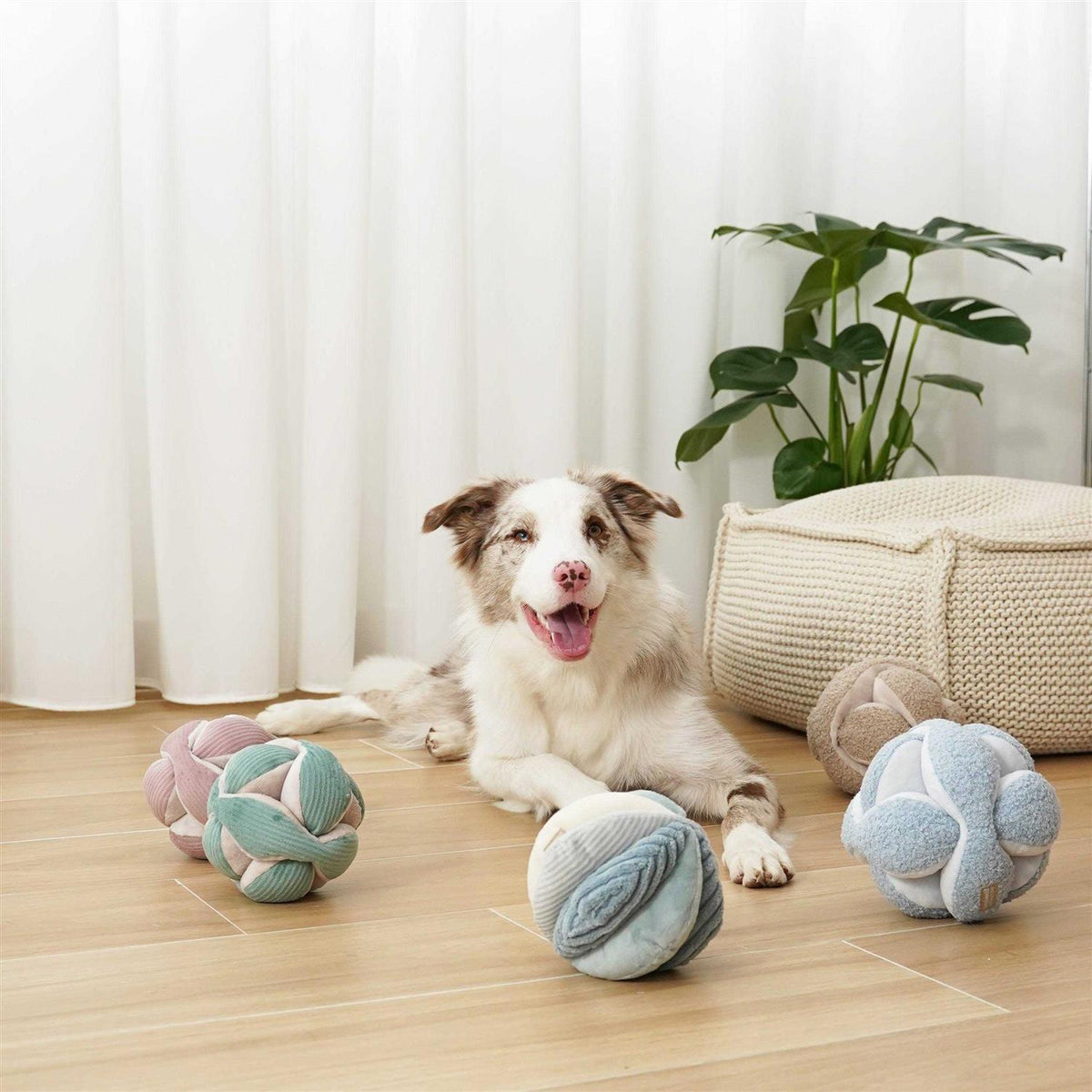 Dog Toy P69383