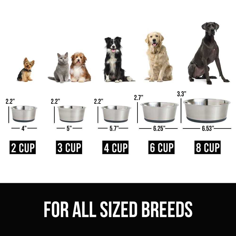 Stainless Steel Dog Bowl Set of 2 M2554