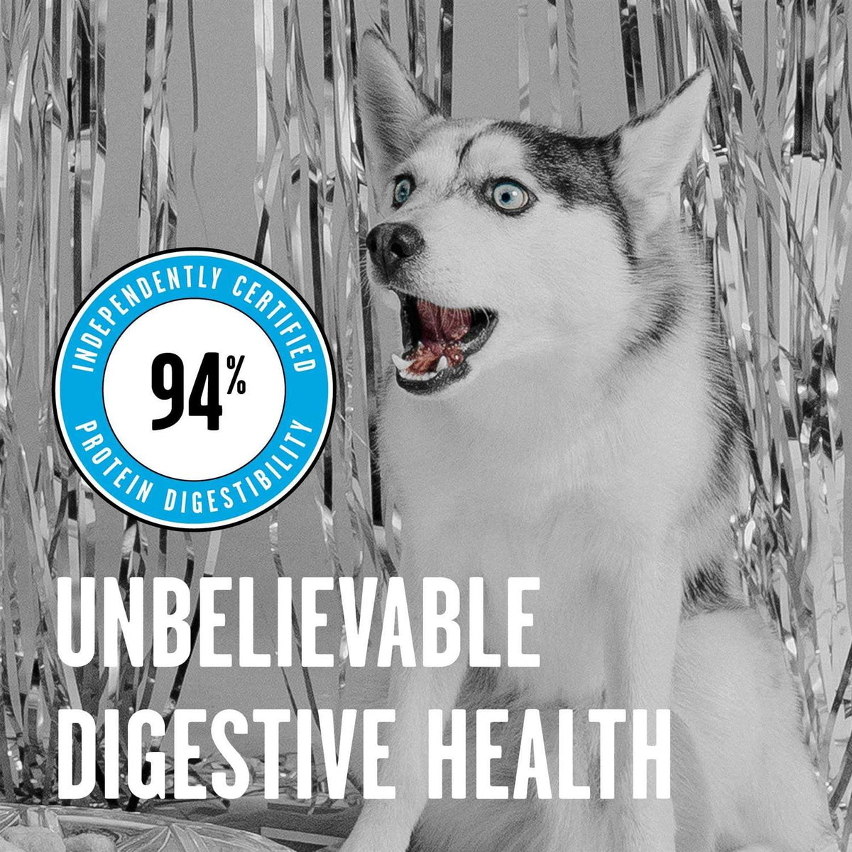 Chicken Freeze-Dried Dog Food P343
