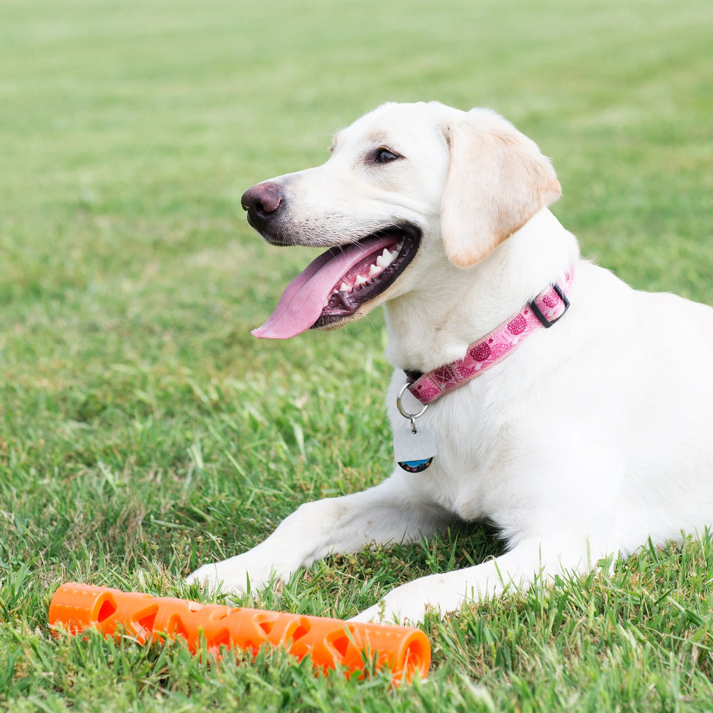 Orange Large Fetch Stick Dog Toy B61207