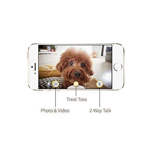 Dog Camera B409965