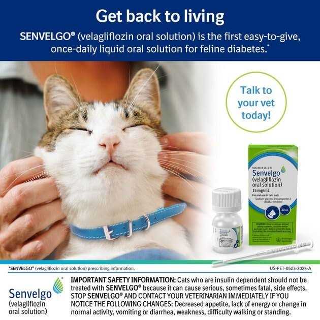 Oral Solution for Cats 15mg/ml Q329042