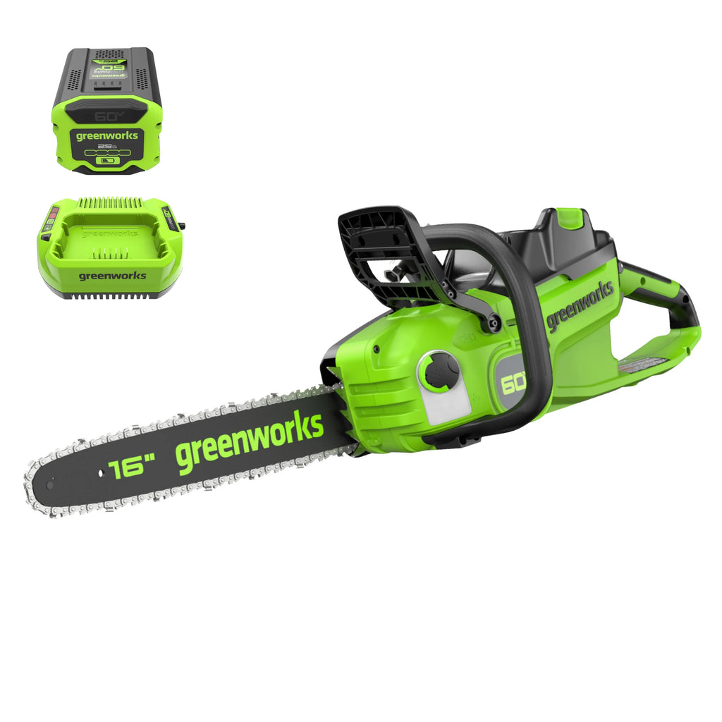 60V Brushless Chainsaw with 2.5 Ah Battery & Charger P2645