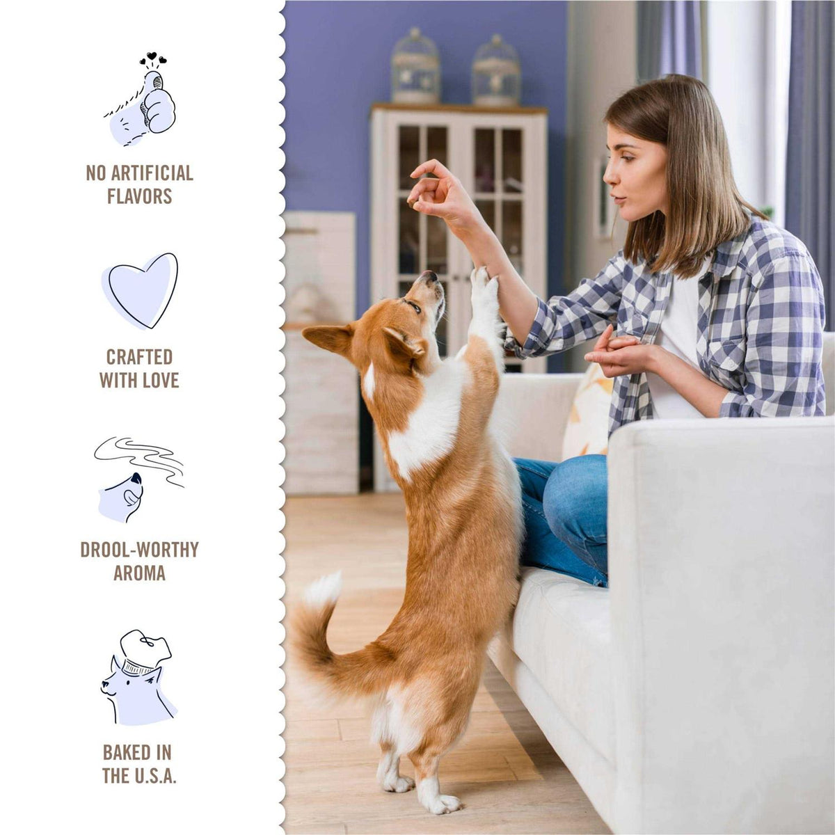Sandwich Cookies Dog Treats with No Artificial Flavors M20772
