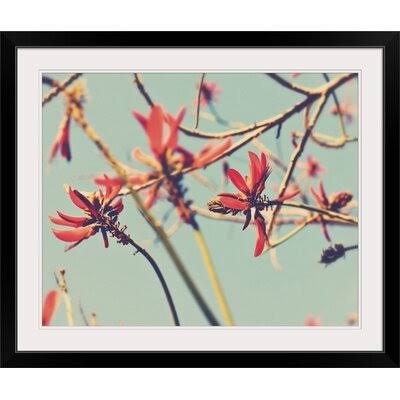 Photographic Print Black Frame M996