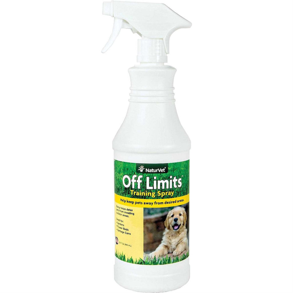 Training Spray T4649