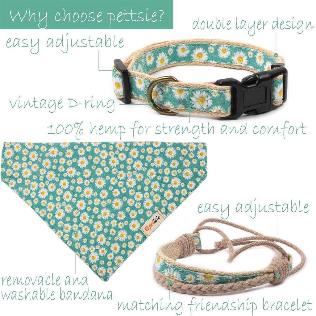 Matching Dog Collar, Bandana and Friendship Bracelet O44251