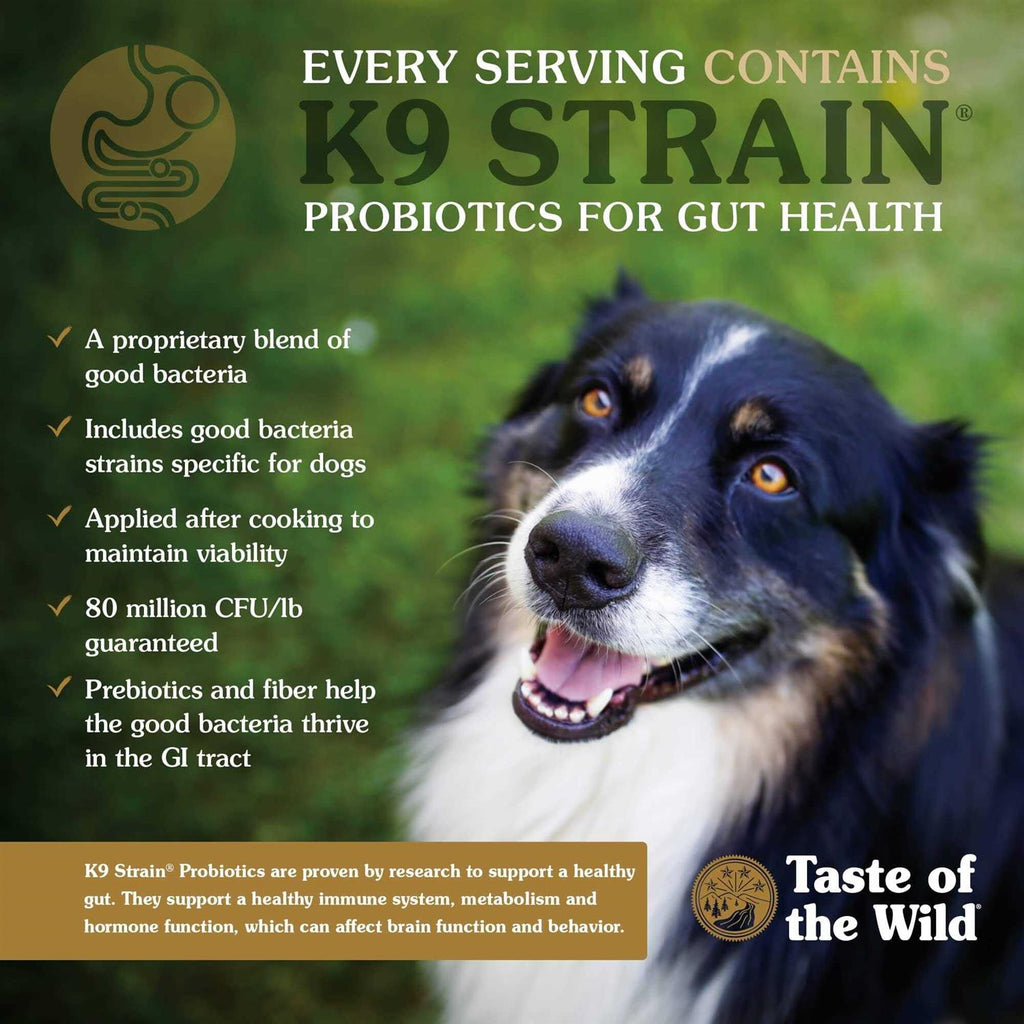 Salmon Dog Food J558851