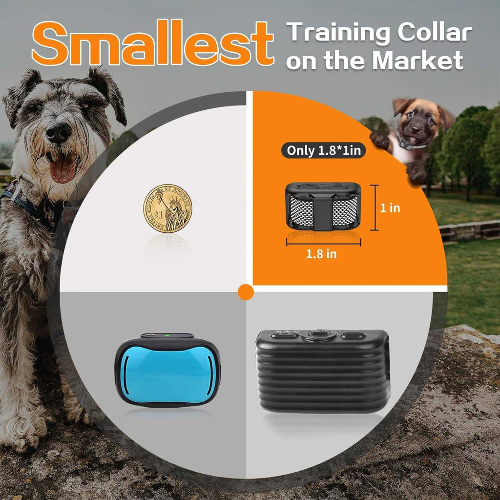 Lightest Dog Training Collar with Remote X7122