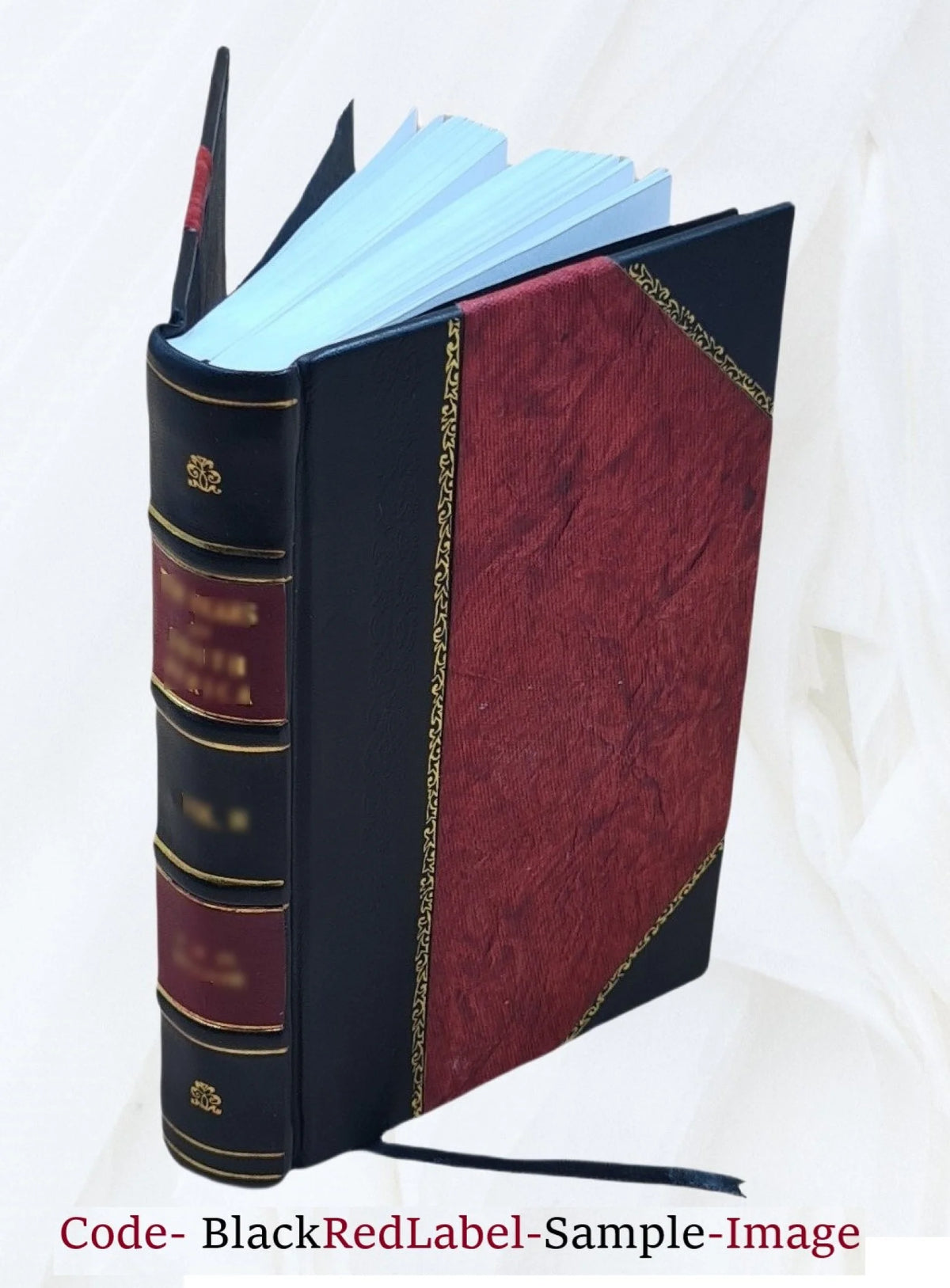 War's brighter side : the story of the Friend newspaper, edited by the correspondents with Lord Roberts's forces, March-April, 1900 / by Julian Ralph (one of the editors) ; with contributions from A. N593