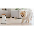 Dog Camera B409965
