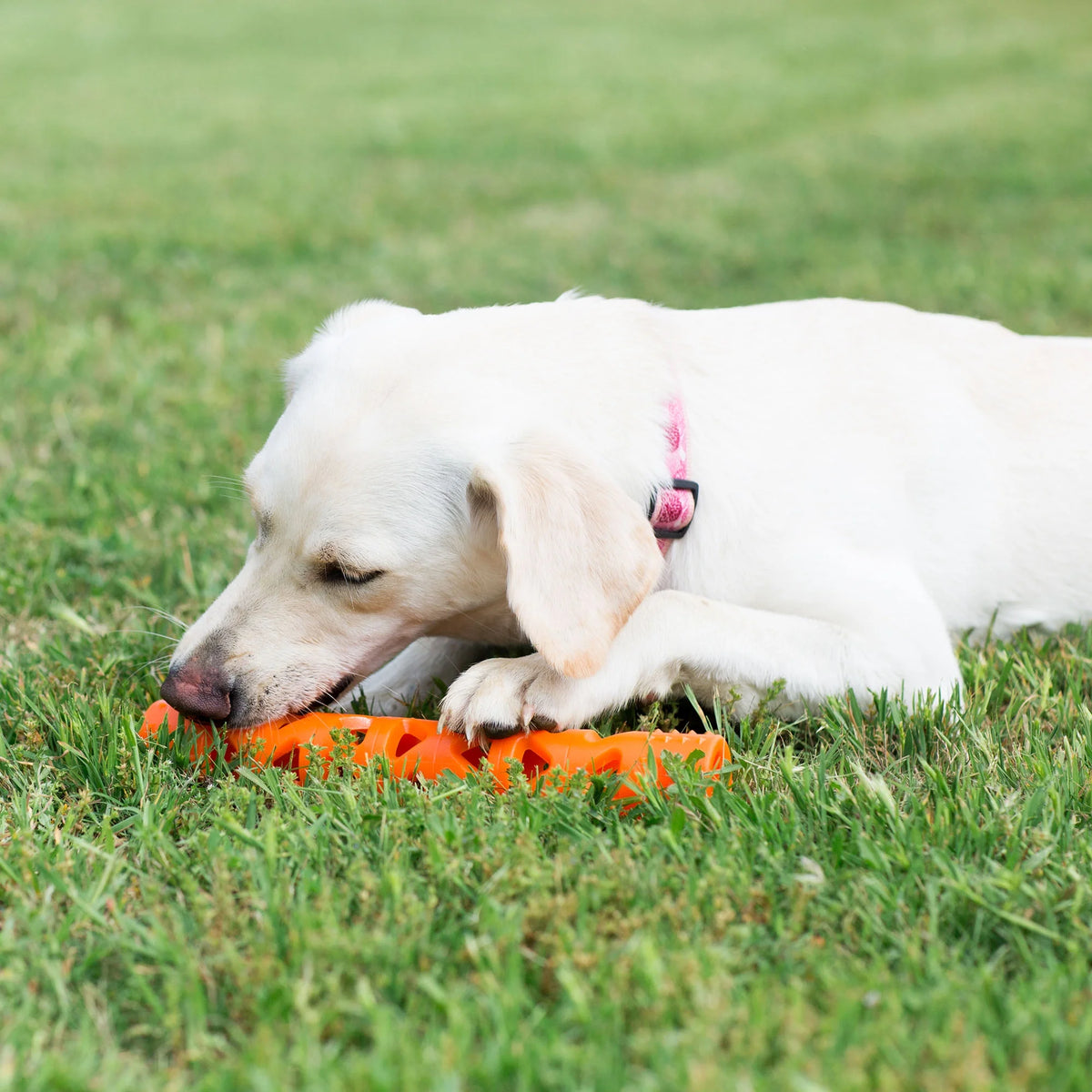 Orange Large Fetch Stick Dog Toy B61207