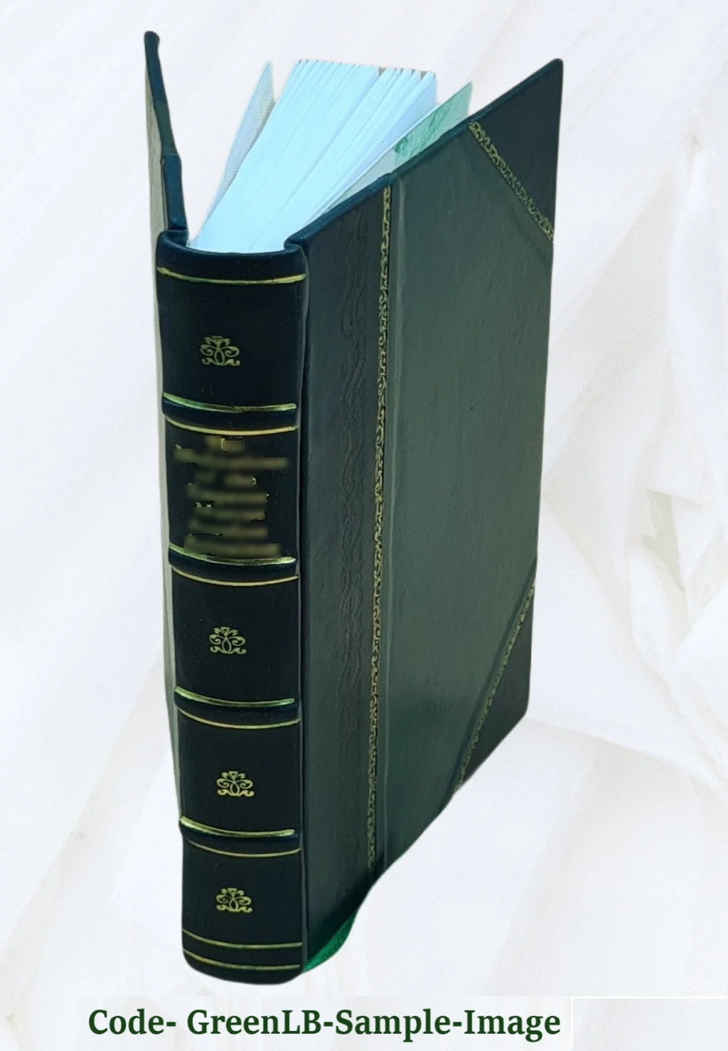 Leather Bound Book L866